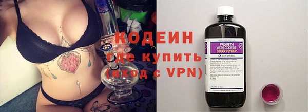 хмурый Алзамай