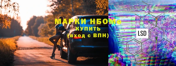 хмурый Алзамай