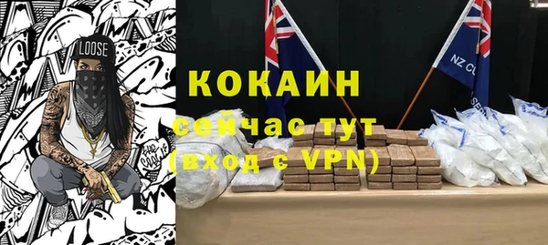 хмурый Алзамай