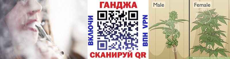 Бошки Шишки сатива  Лесосибирск 